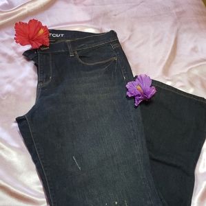💙5 pocket New York & Company distress jeans